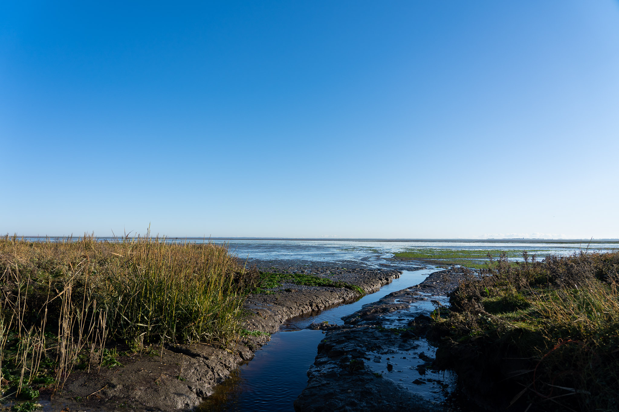 östliches Wattenmeer