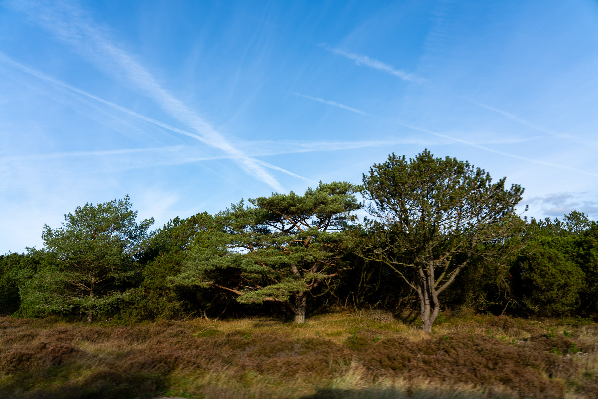 Fahrt ans Meer Fahrt ans Meer