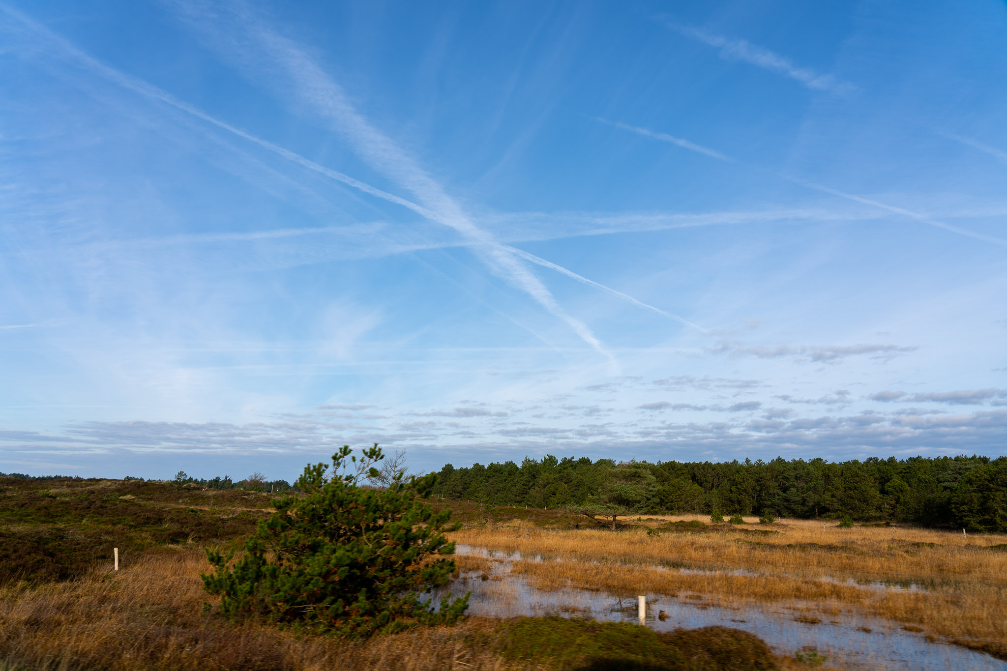 Fahrt ans Meer Fahrt ans Meer