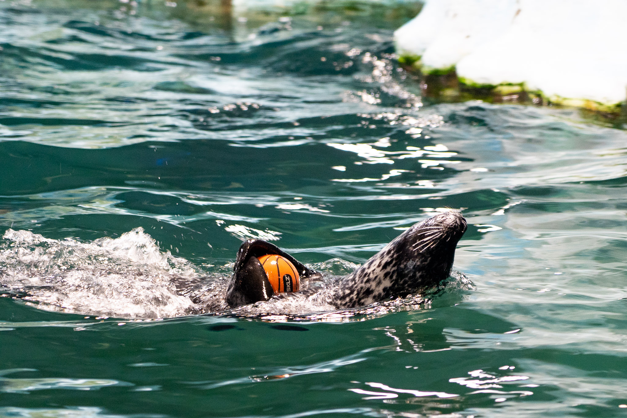 Angriff über die linke Flanke